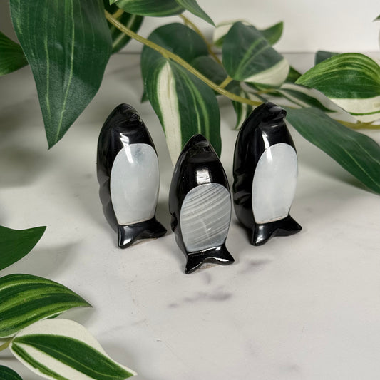 Onyx penguin