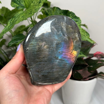 HQ labradorite freeform 231