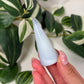 Blue chalcedony ring holder