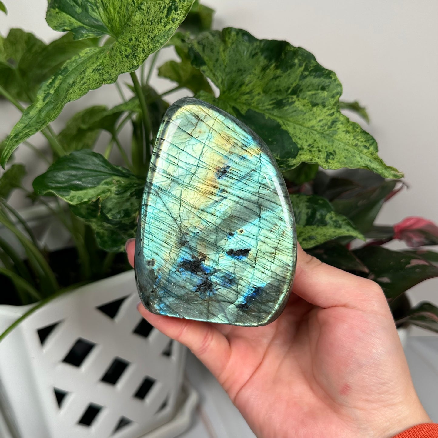 HQ labradorite freeform 154