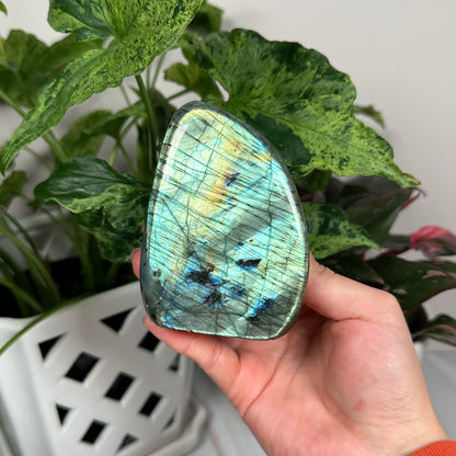 HQ labradorite freeform 154