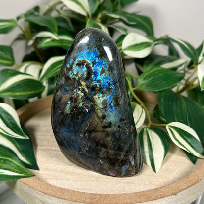 Labradorite freeform 62