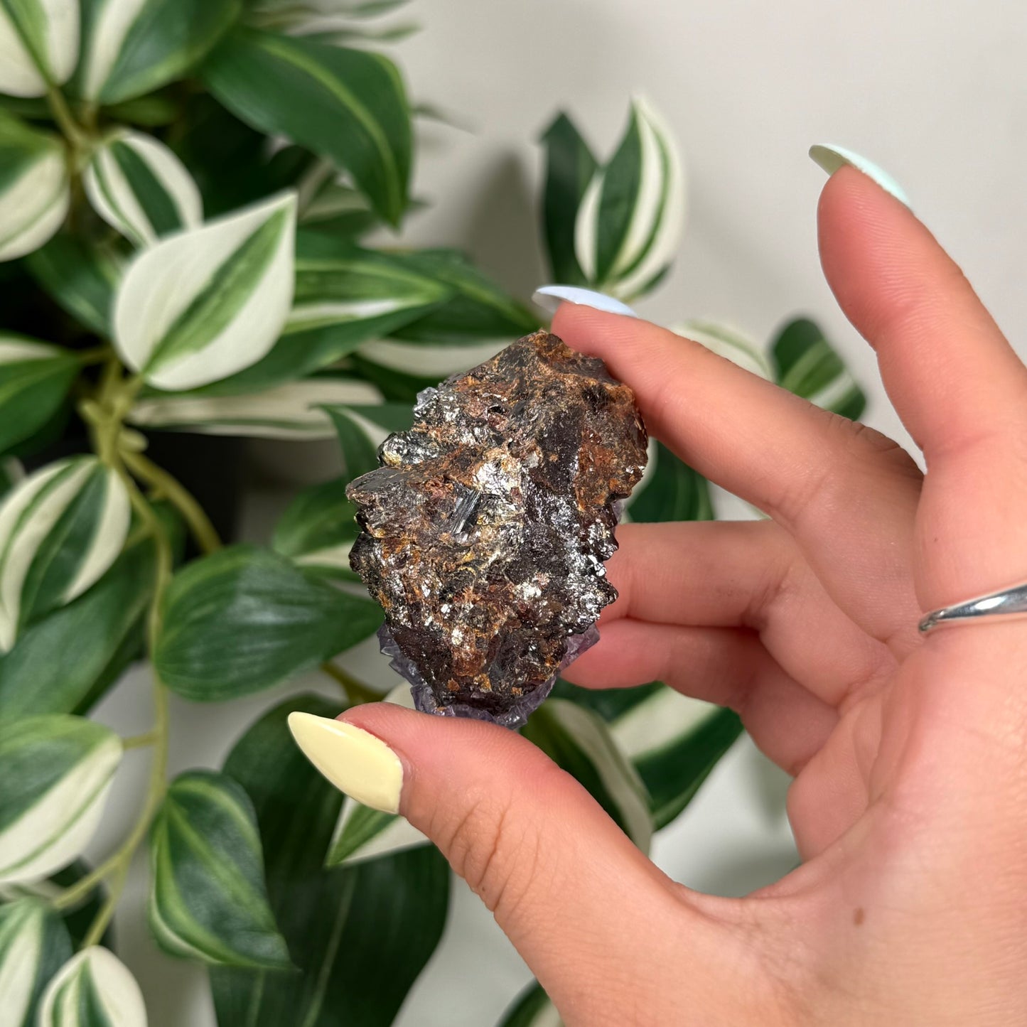 Elmwood mine fluorite with sphalerite