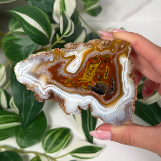 Moroccan agate 100