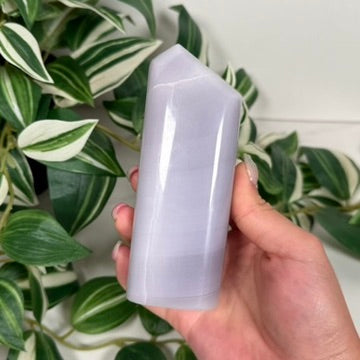 Lavender fluorite freeform 48