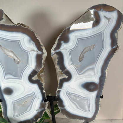 Agate wings on stand