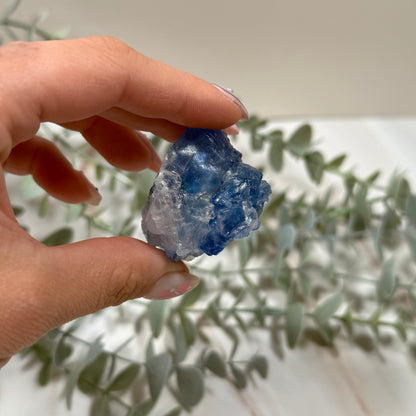 Blue halite 100