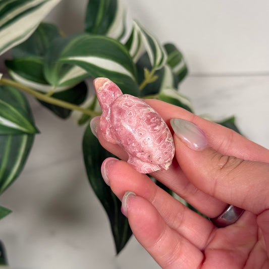 Rhodochrosite turtle b