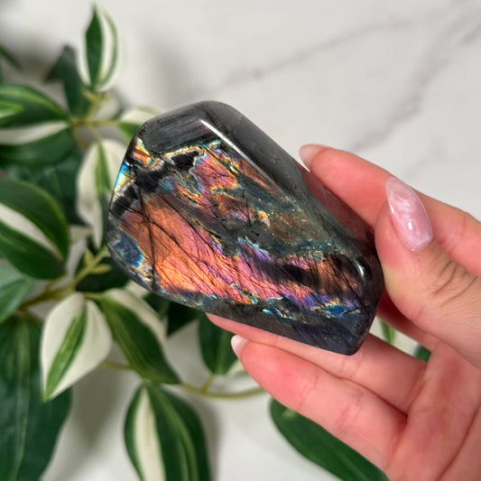 Labradorite freeform 24