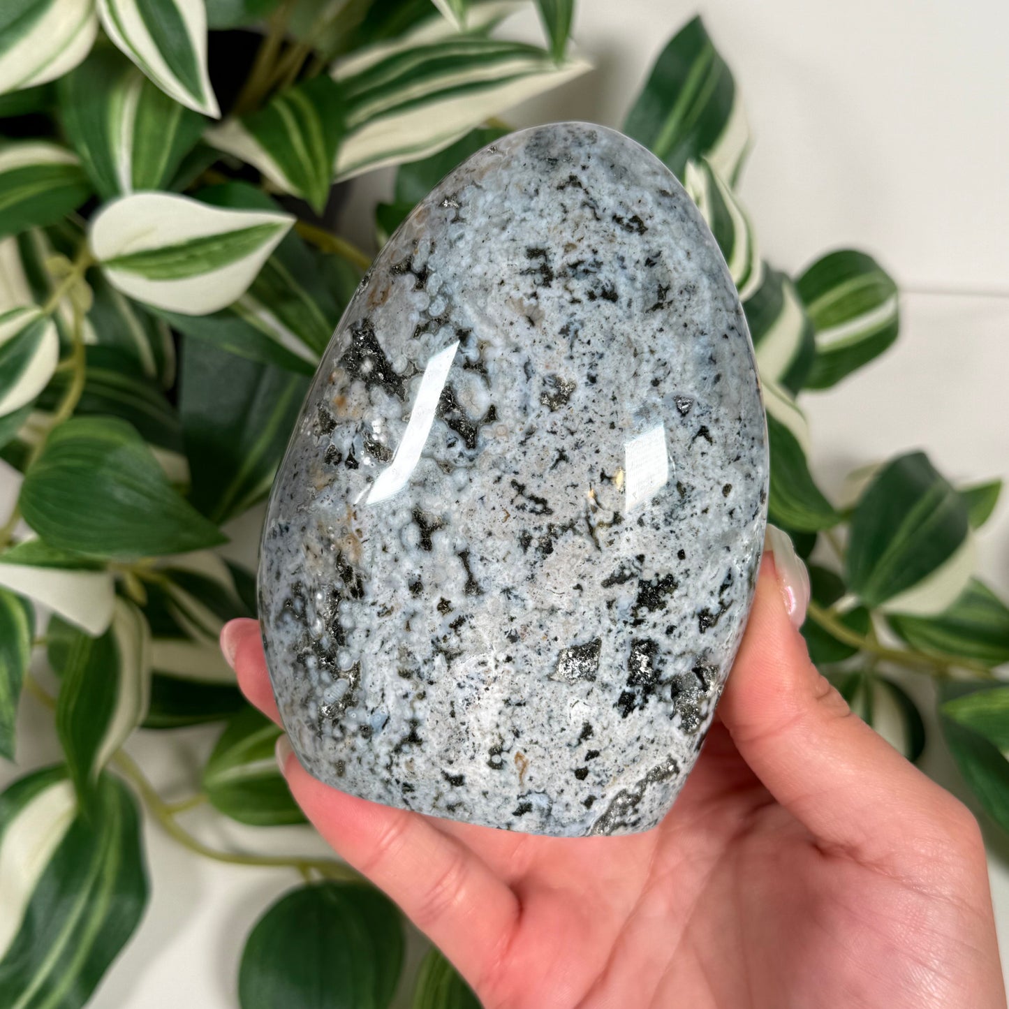 Ocean jasper freeform 52