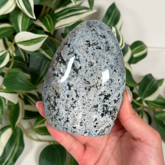 Ocean jasper freeform 52