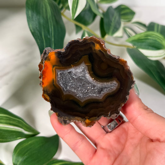 Condor agate 130