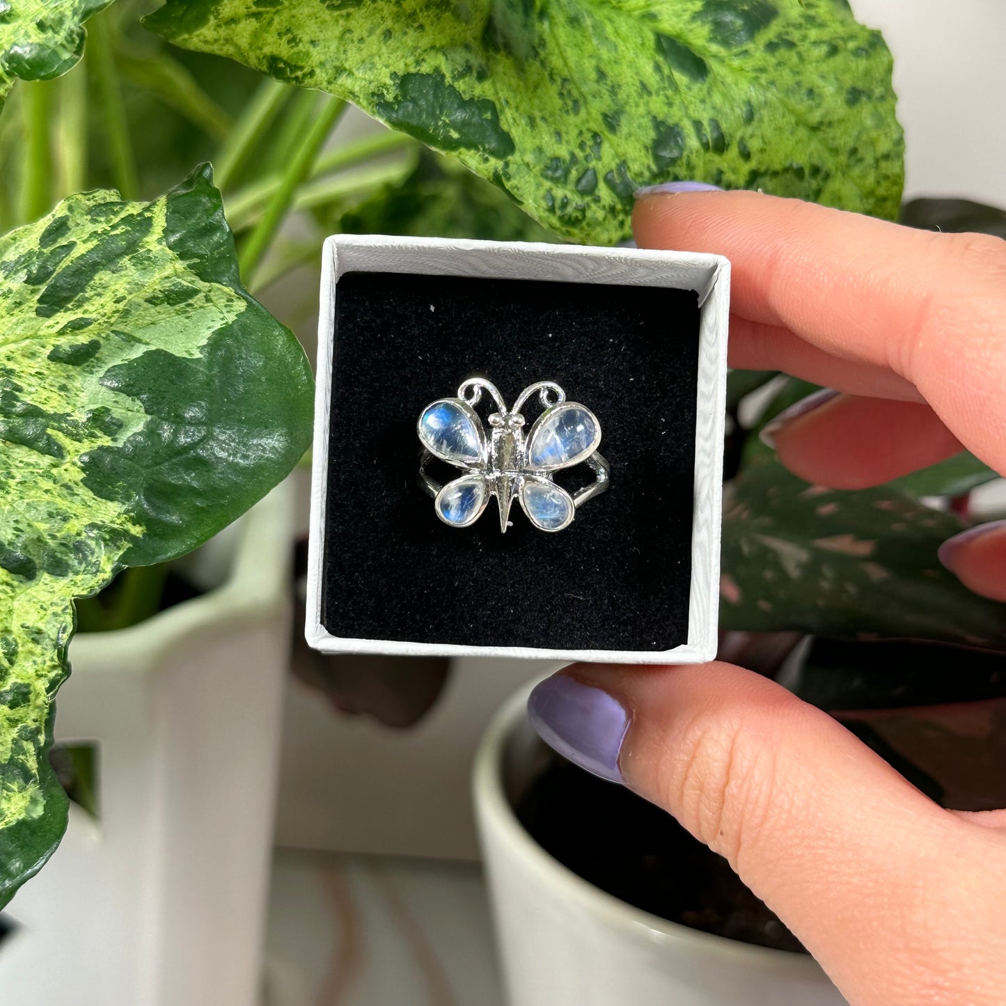 Size 9 rainbow moonstone butterfly ring