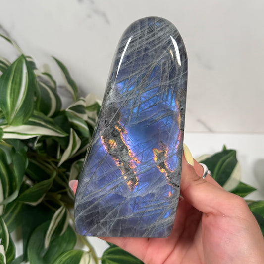 Labradorite freeform 85