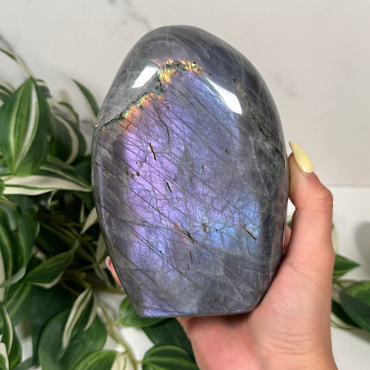 Labradorite freeform 215