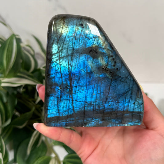 Blue labradorite freeform 45
