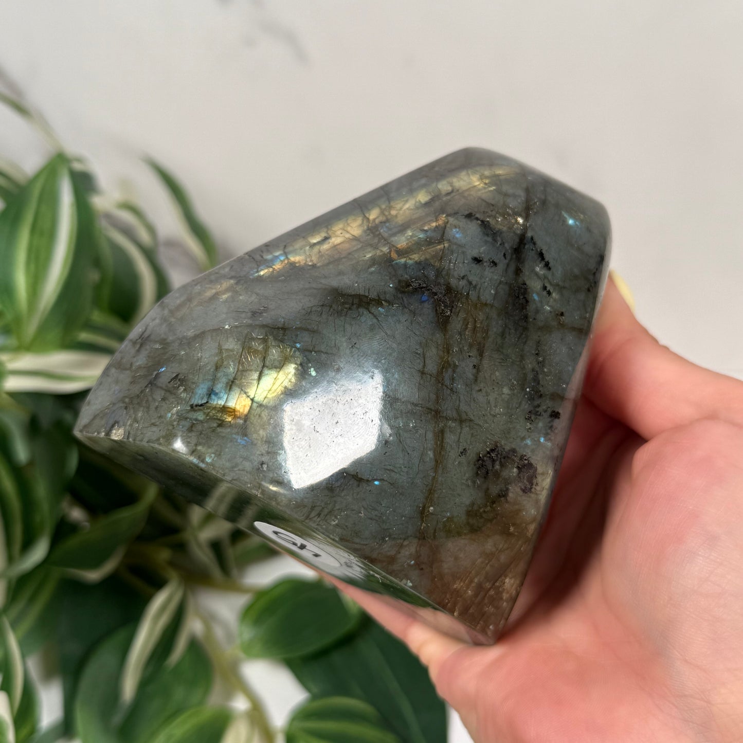 Blue labradorite freeform 45