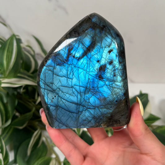 Blue labradorite freeform 47