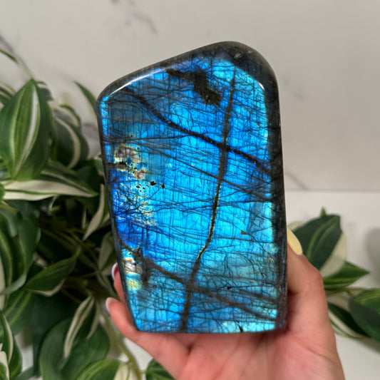 Blue labradorite freeform 63