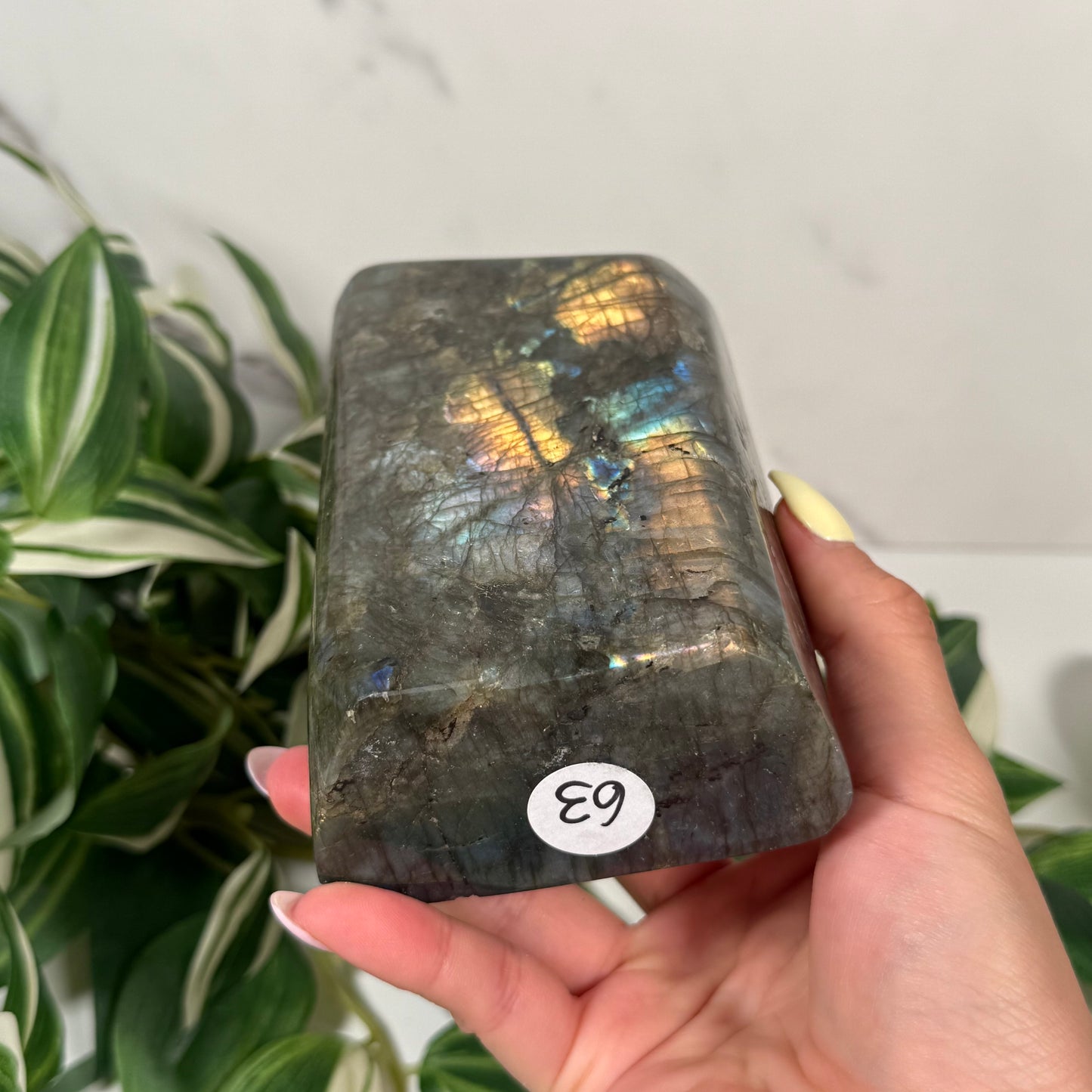 Blue labradorite freeform 63