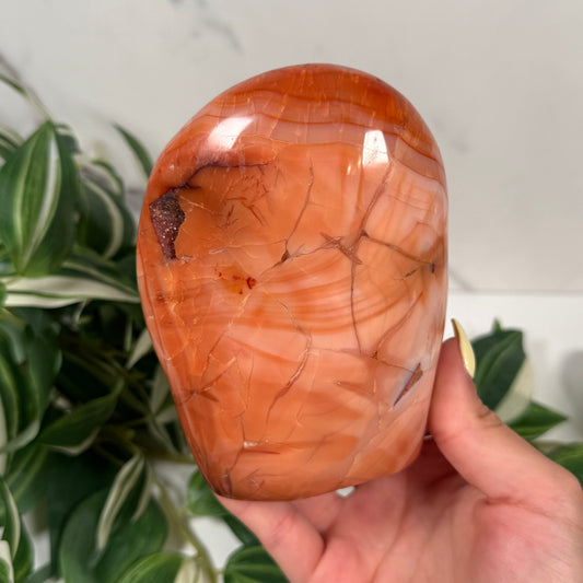 Carnelian freeform