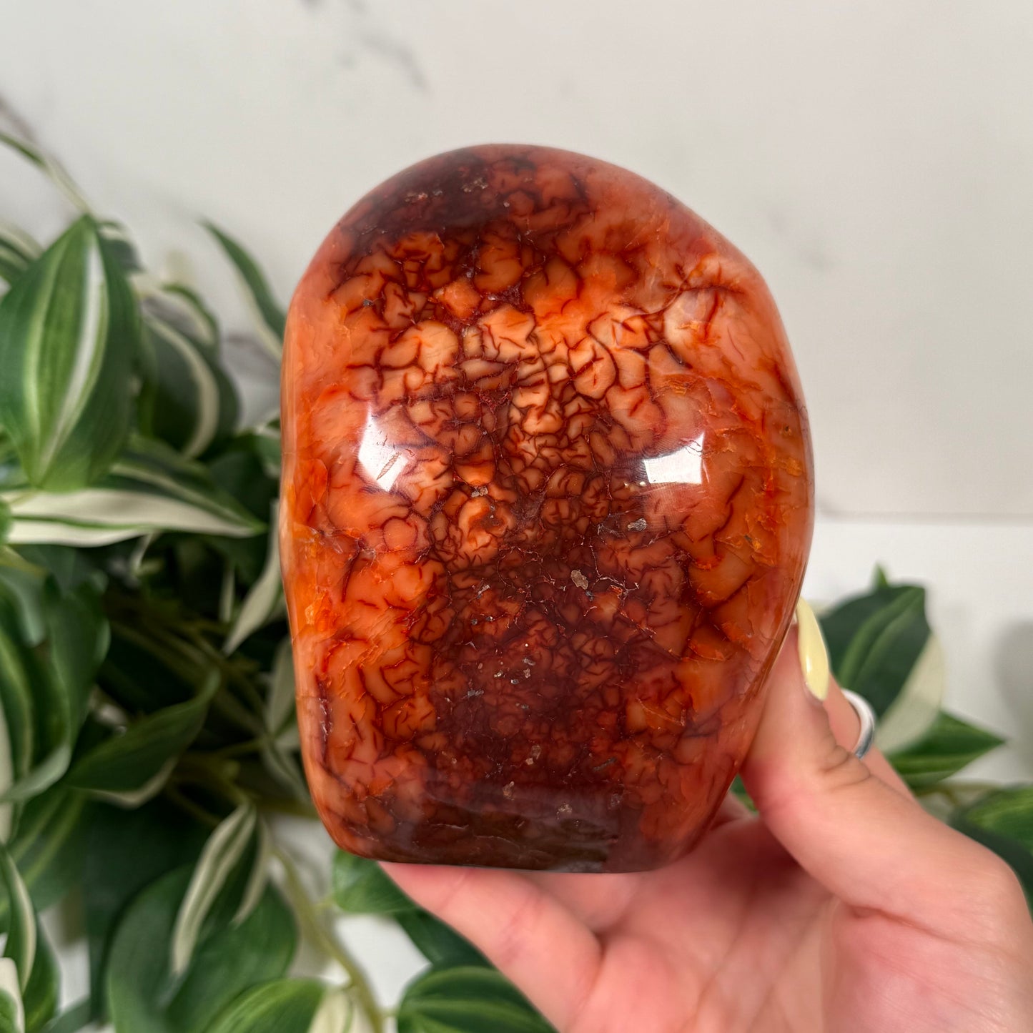Carnelian freeform