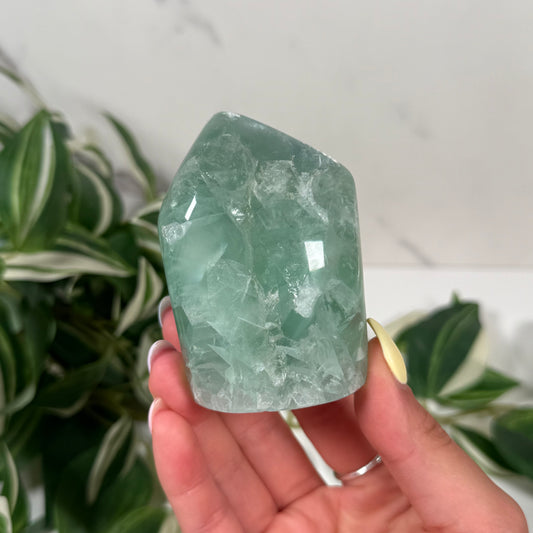 Mexican fluorite freeform 48