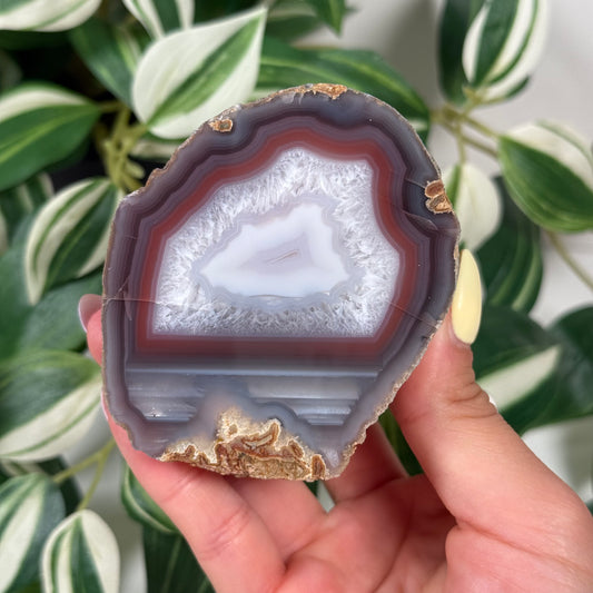 Swazi agate 150