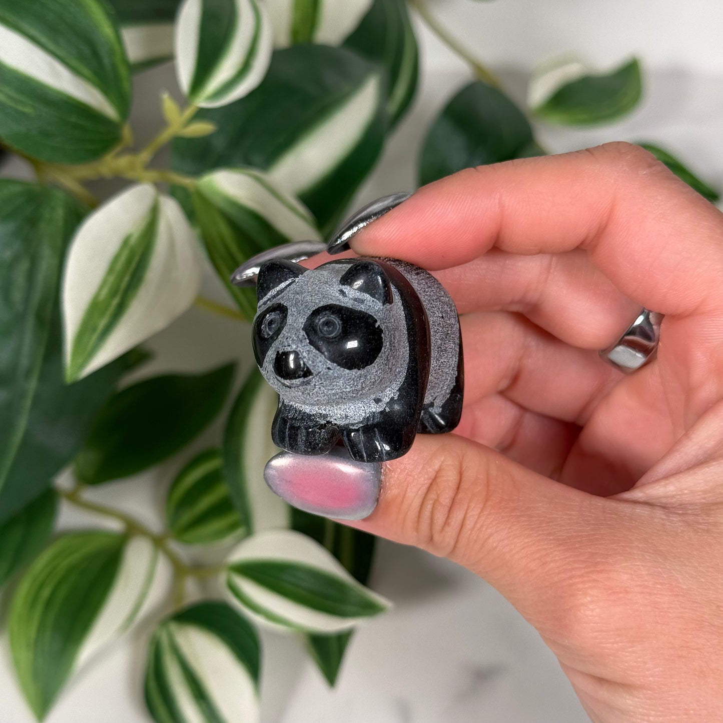 Obsidian panda