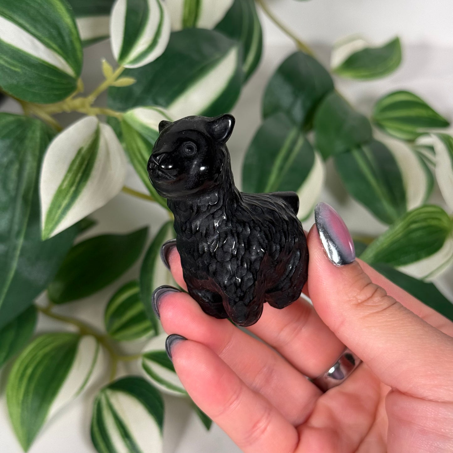 Obsidian alpaca
