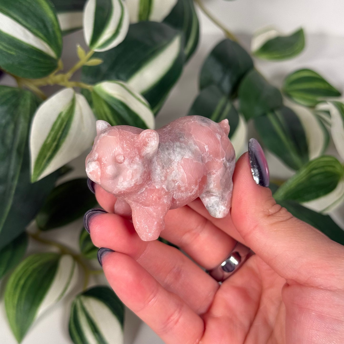 Pink opal pig