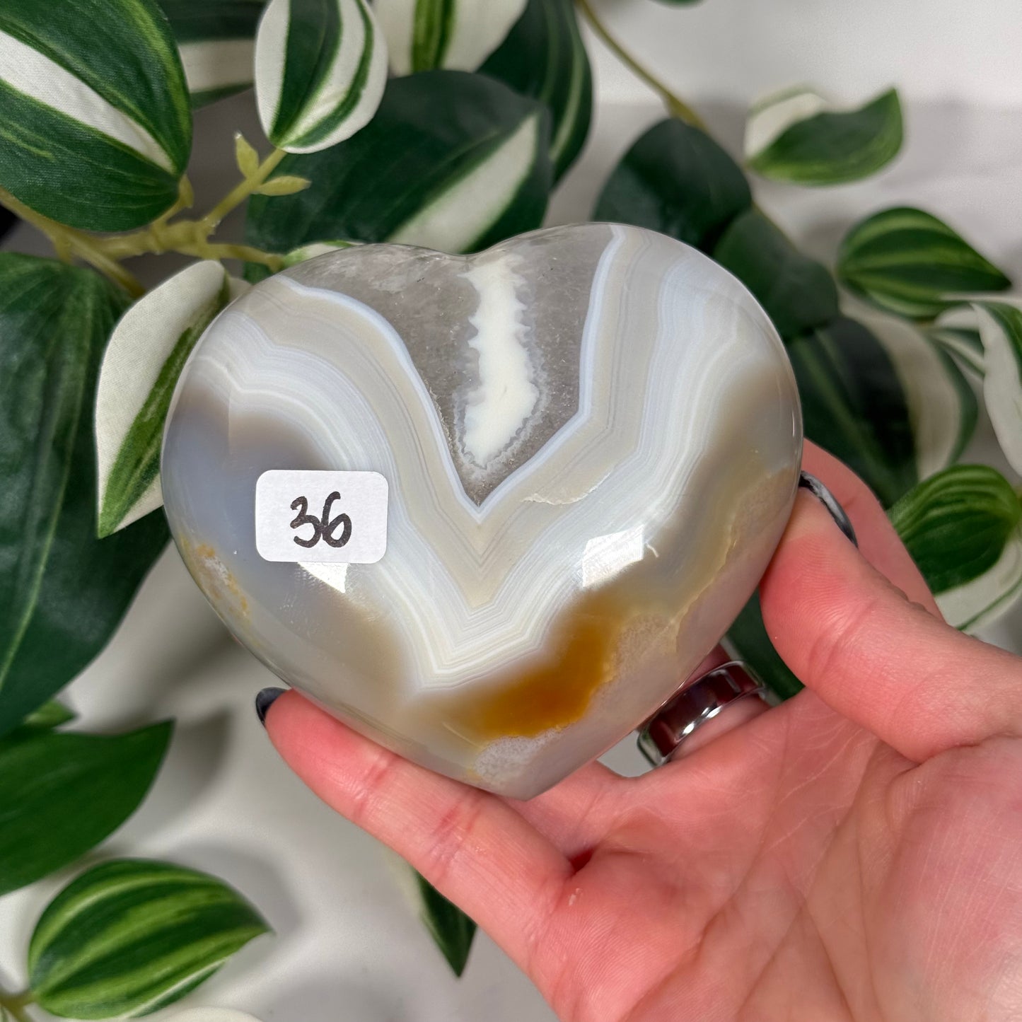 Orca agate heart