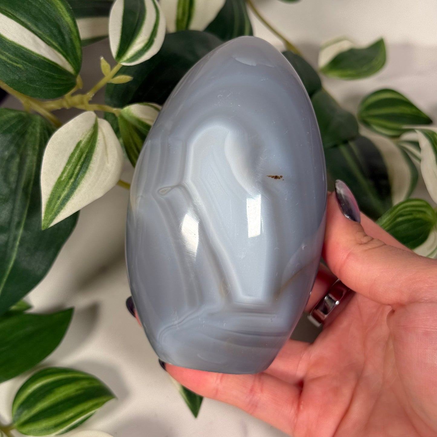 Orca agate freeform