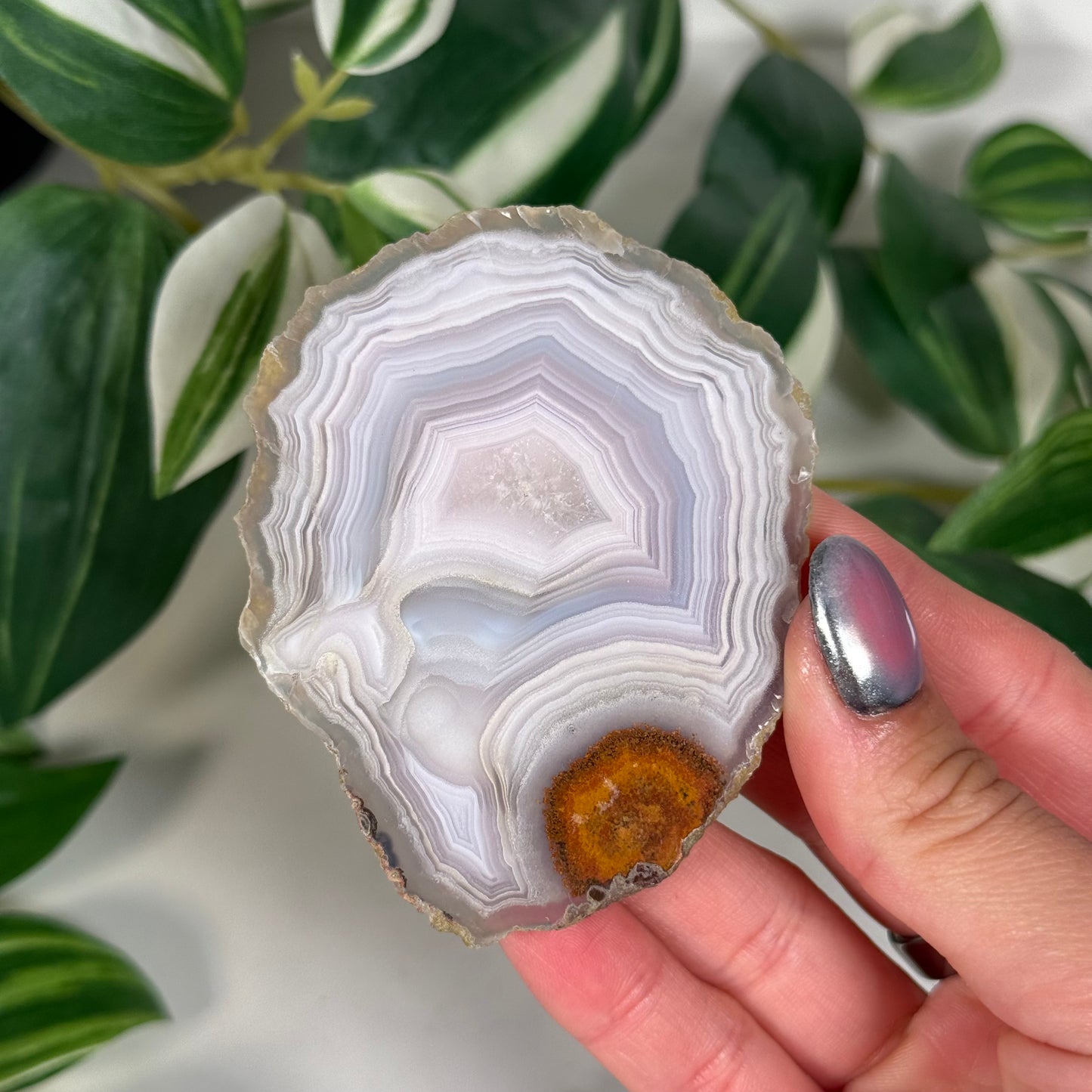 Laguna agate slice 90