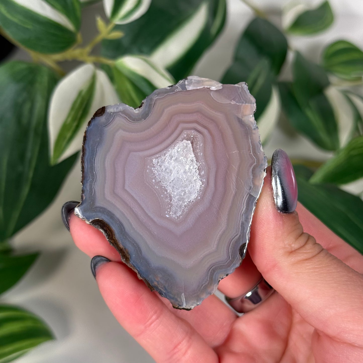 Laguna agate 140