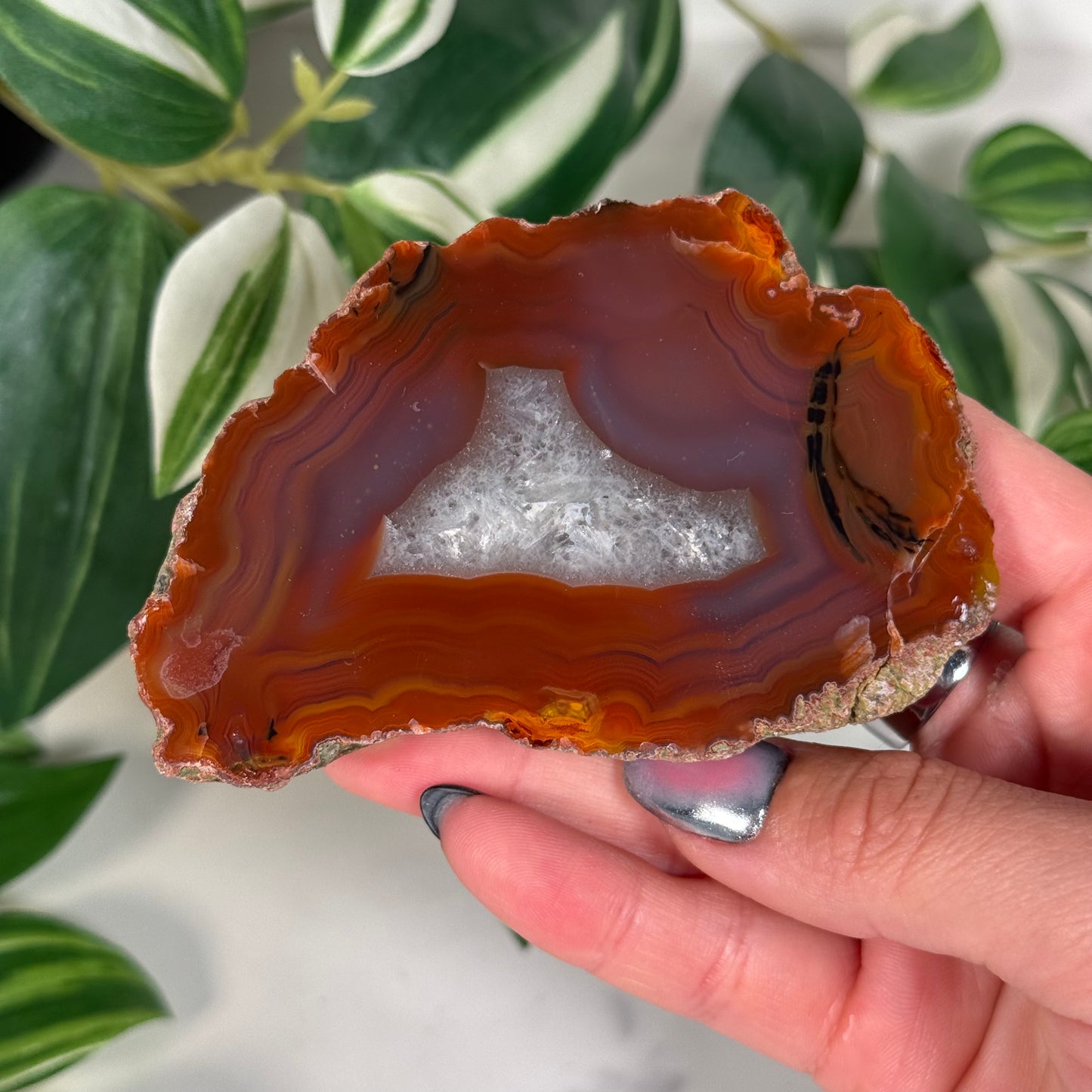 Condor agate 130