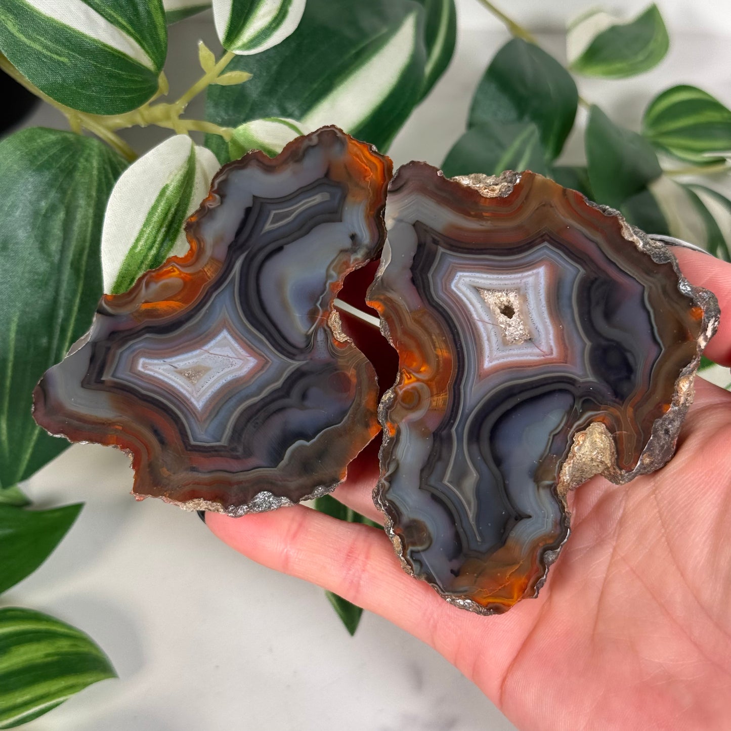 Condor agate pair 220