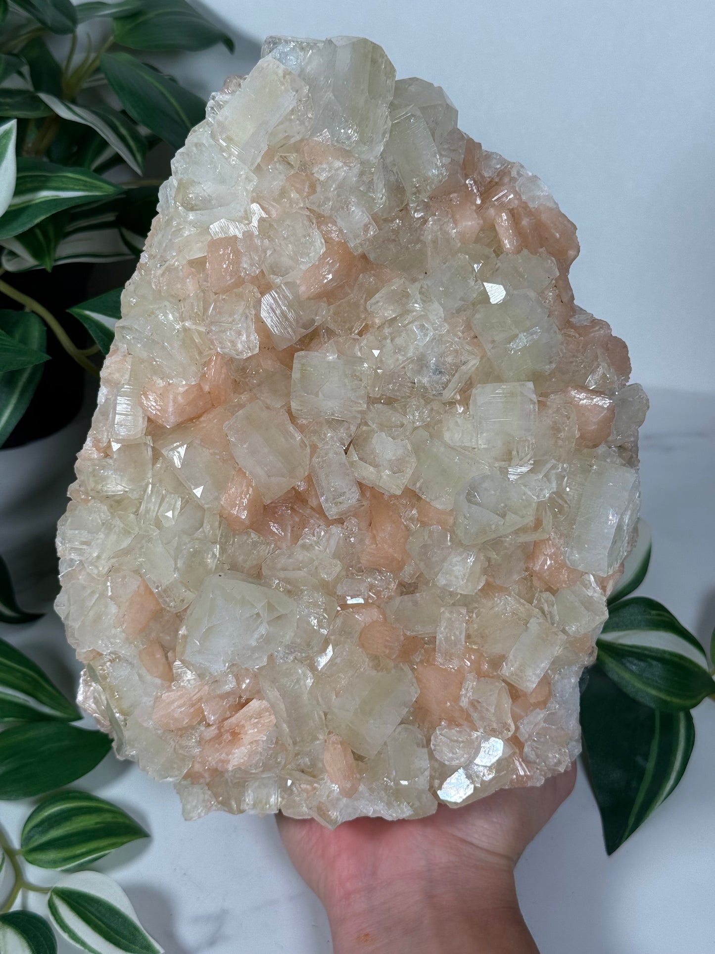Green apophyllite with peach stillbite