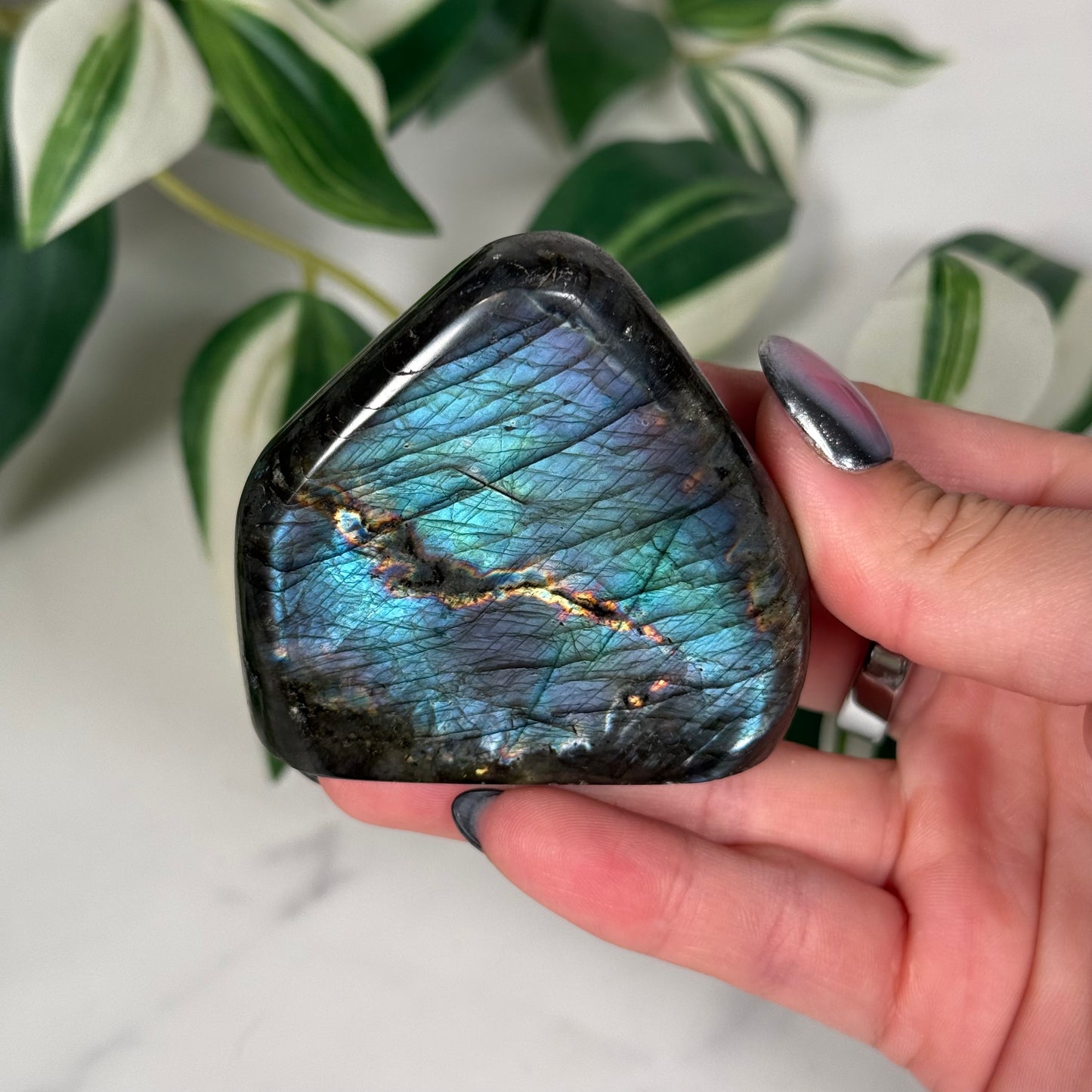 Mermaid flash labradorite freeform 52