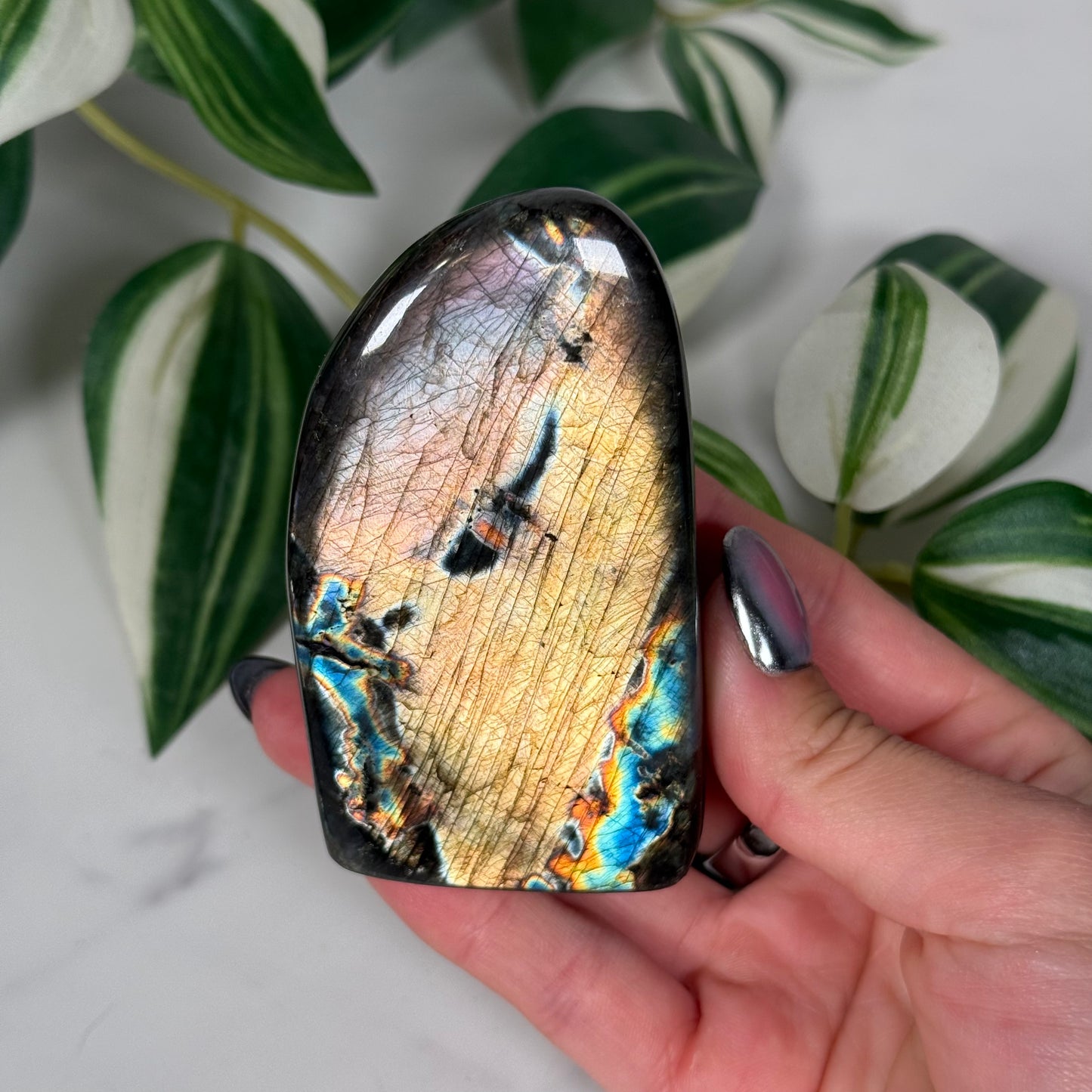 Labradorite freeform 53