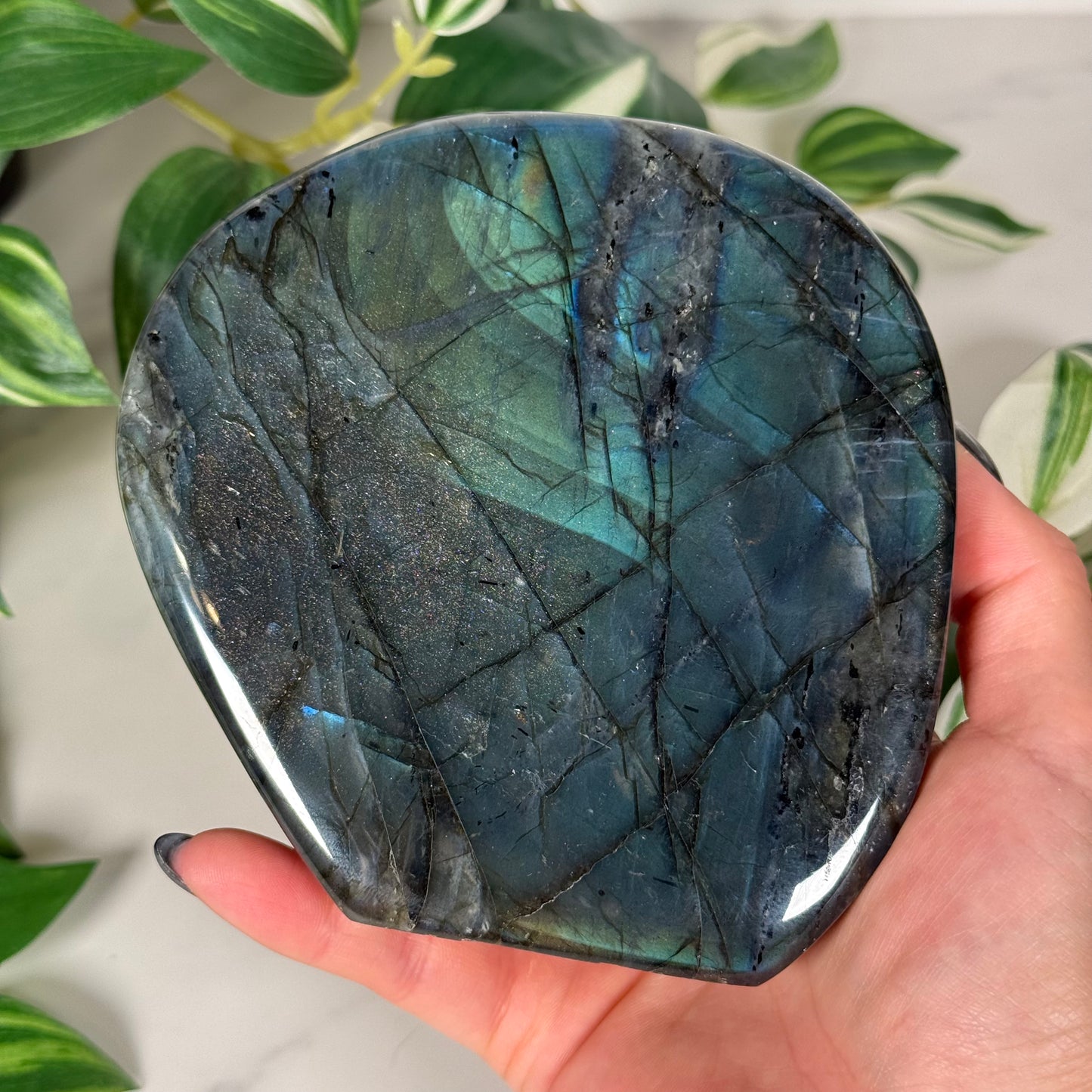 Bright blue labradorite freeform 220
