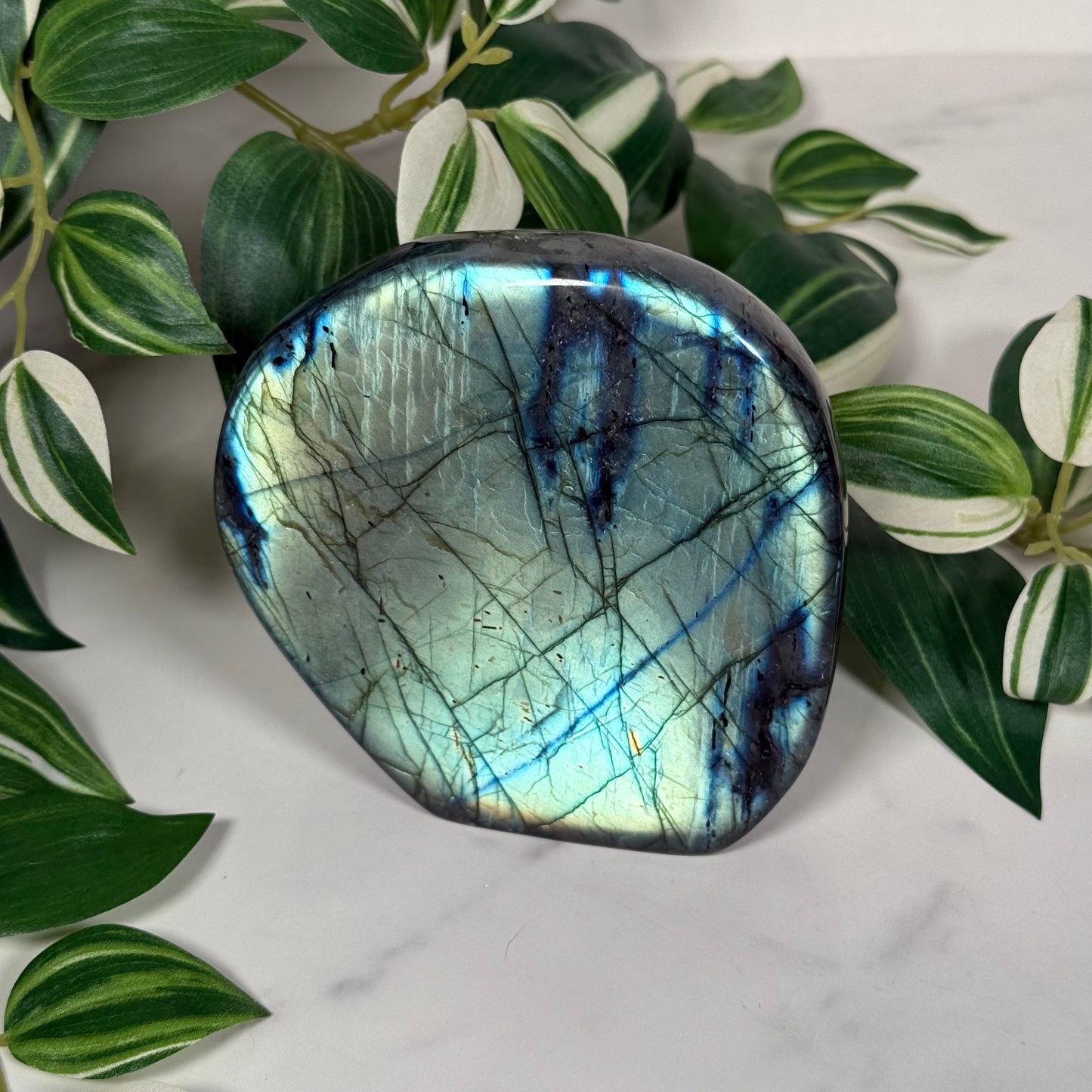 Bright blue labradorite freeform 220